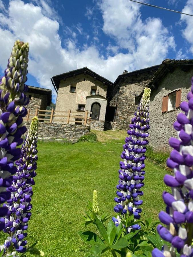 Albergo Casa Alpina San Luigi กัมโปโดลชิโน ภายนอก รูปภาพ