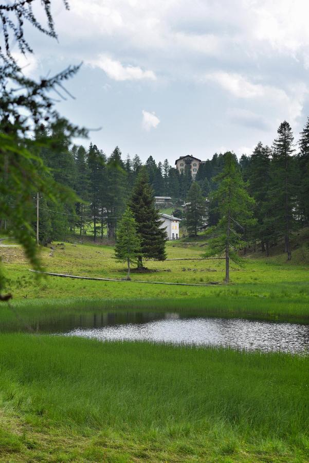 Albergo Casa Alpina San Luigi กัมโปโดลชิโน ภายนอก รูปภาพ